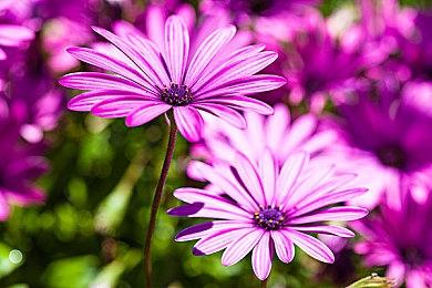 T2暗示《GTA6》宁愿跳票 也要保证品质